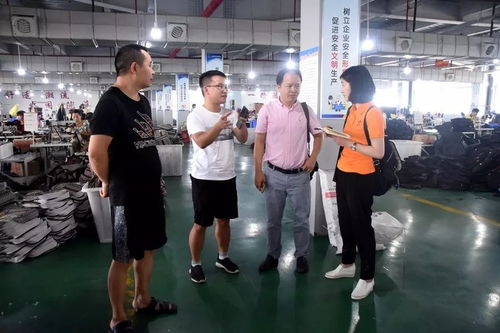 江蘇臺攝制組聚焦大龍，專題片攝制展現(xiàn)獨特風采